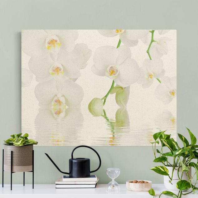 Obrazy nowoczesny Orchidea wellness - Orchidea biała