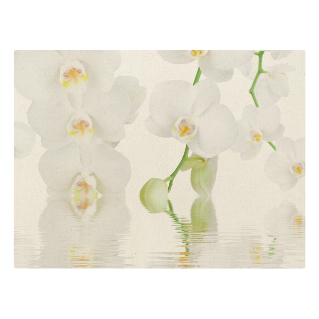 Dekoracja do kuchni Orchidea wellness - Orchidea biała