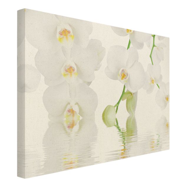 Obrazy motywy kwiatowe Orchidea wellness - Orchidea biała