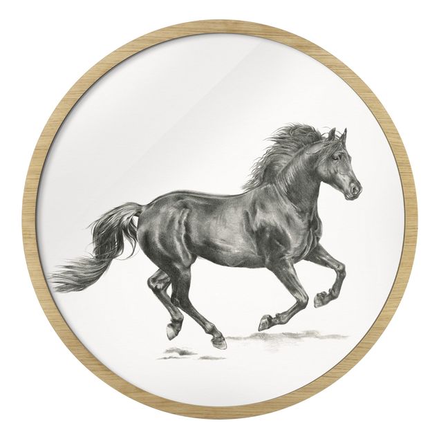 Obrazy w ramie zwierzęta Study Of Wild Horses - Stallion