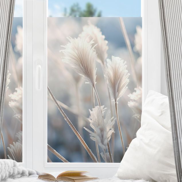 Folia okienna do sypialni Zimowe trawy w zbliżeniu