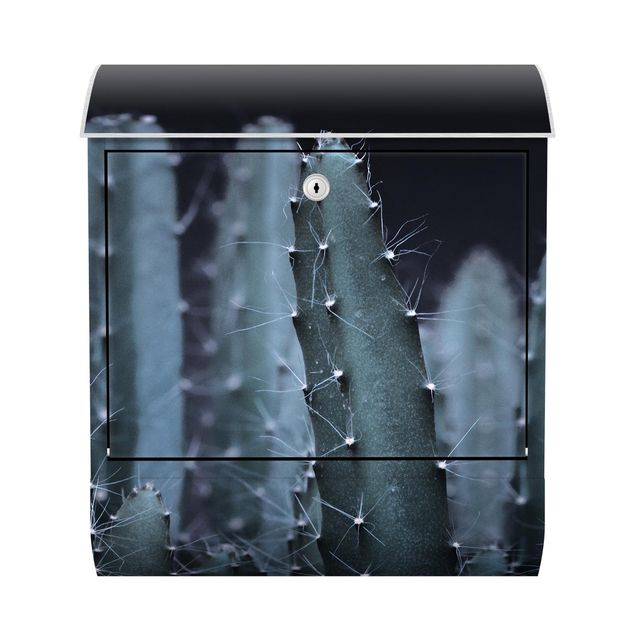 Skrzynka na listy - Kaktus pustynny nocą