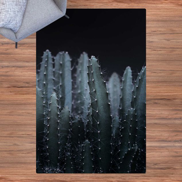 nowoczesny dywan Kaktus pustynny nocą
