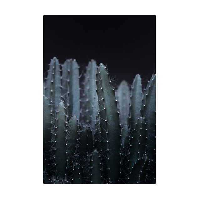 Mata korkowa - Kaktus pustynny nocą