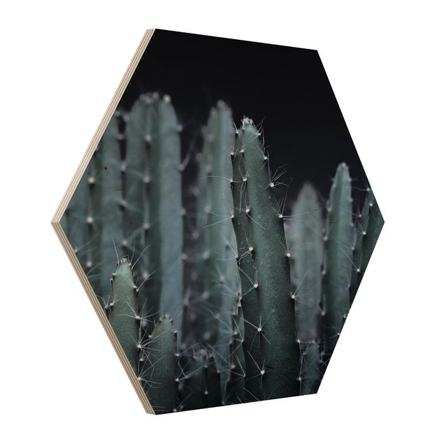 Obraz czarny Kaktus pustynny nocą