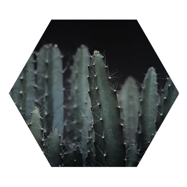 Obrazy z motywem kwiatowym Kaktus pustynny nocą