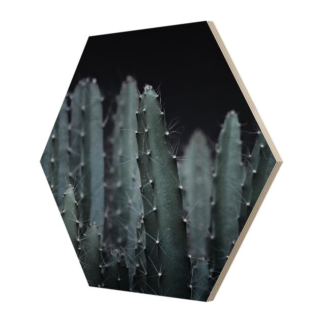 Obrazy na ścianę Kaktus pustynny nocą