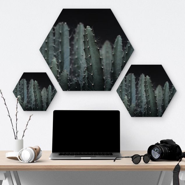 Obraz heksagonalny z drewna - Kaktus pustynny nocą