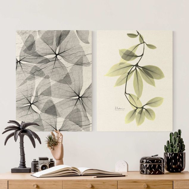 Obrazy motywy kwiatowe X-Ray - Trójkątna koniczyna i porcelanowe płatki