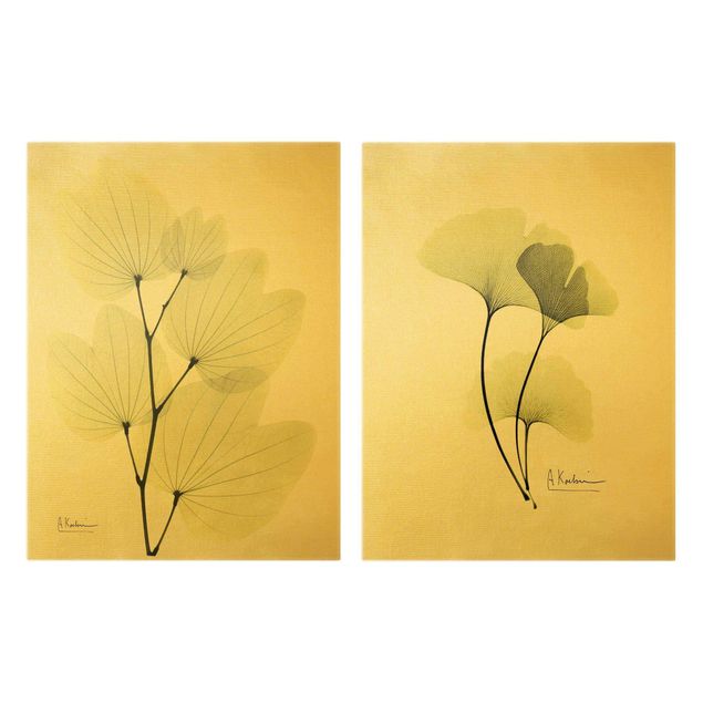 Zielony obraz X-Ray - liście orchidei i ginko