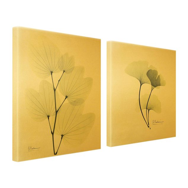 Obrazy kwiatowe X-Ray - liście orchidei i ginko