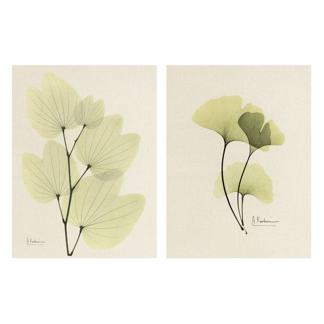 Zielony obraz X-Ray - liście orchidei i ginko