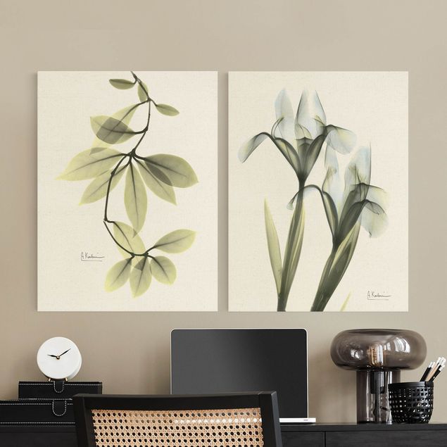 Obrazy z motywem kwiatowym X-Ray - Porcelanowe płatki i irys