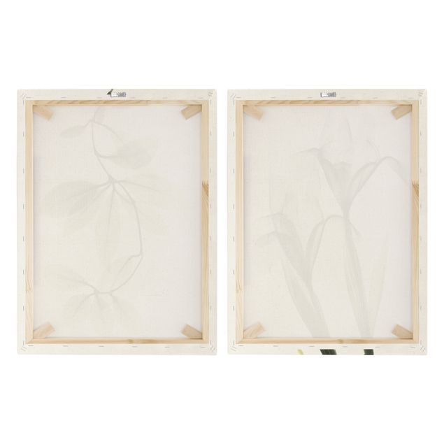 Obraz na płótnie - X-Ray - Porcelanowe płatki i irys