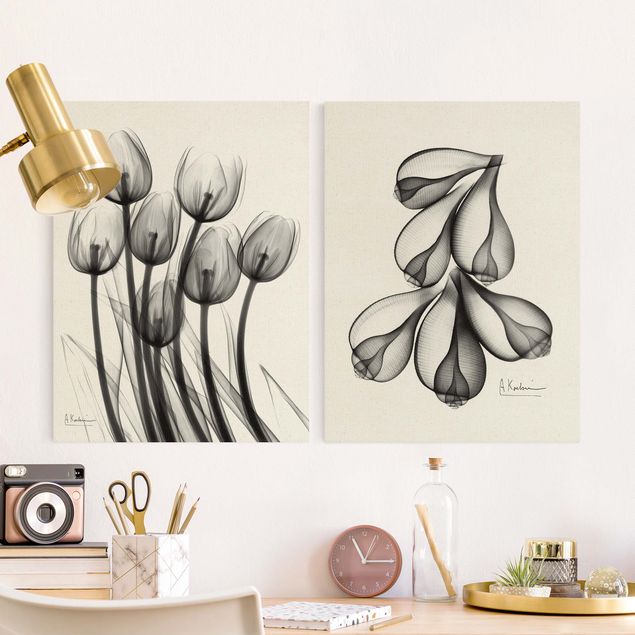Obrazy do salonu X-Ray - Tulipany i skórki figowe