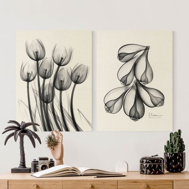 Obrazy kwiatowe X-Ray - Tulipany i skórki figowe