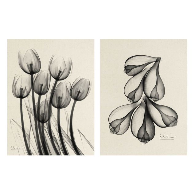 Obrazy na ścianę X-Ray - Tulipany i skórki figowe