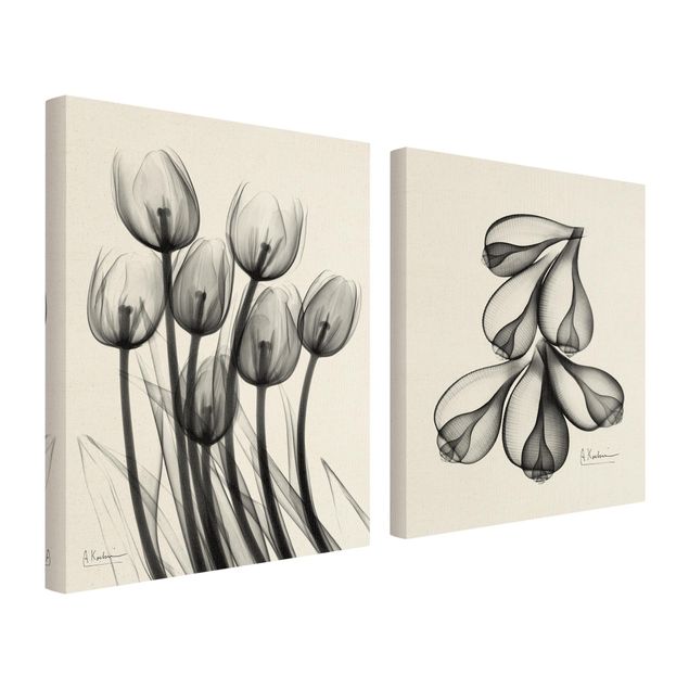Obraz na płótnie X-Ray - Tulipany i skórki figowe