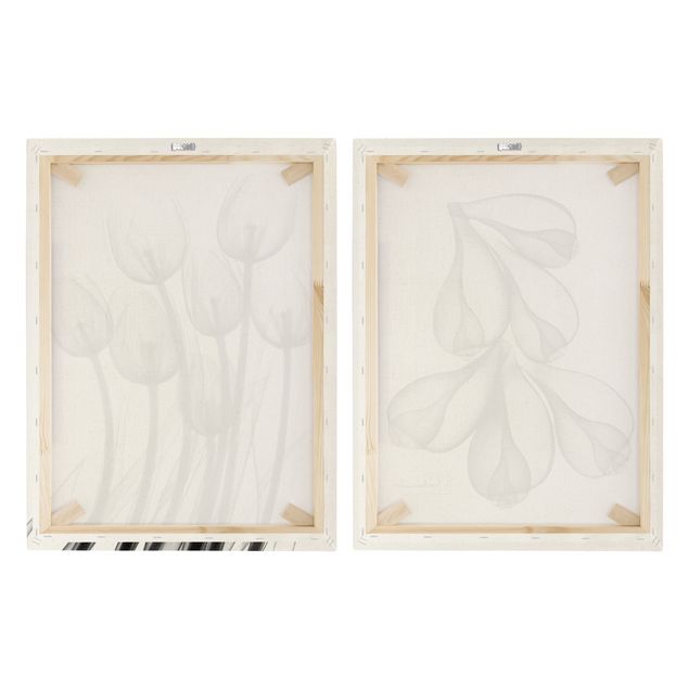 Obraz na płótnie - X-Ray - Tulipany i skórki figowe