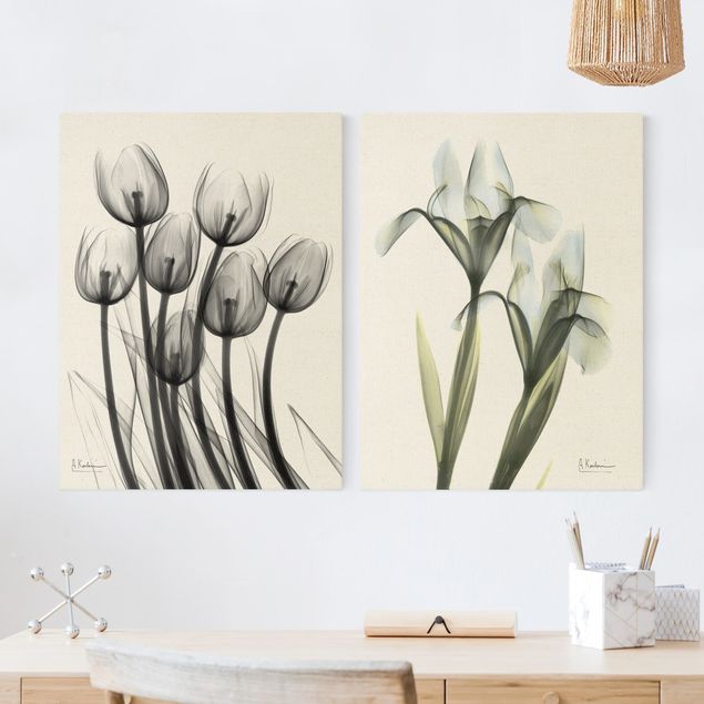 Obrazy do salonu nowoczesne X-Ray - Tulipany i irysy