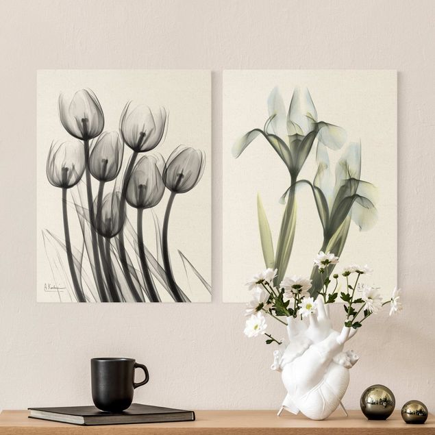 Obrazy z motywem kwiatowym X-Ray - Tulipany i irysy