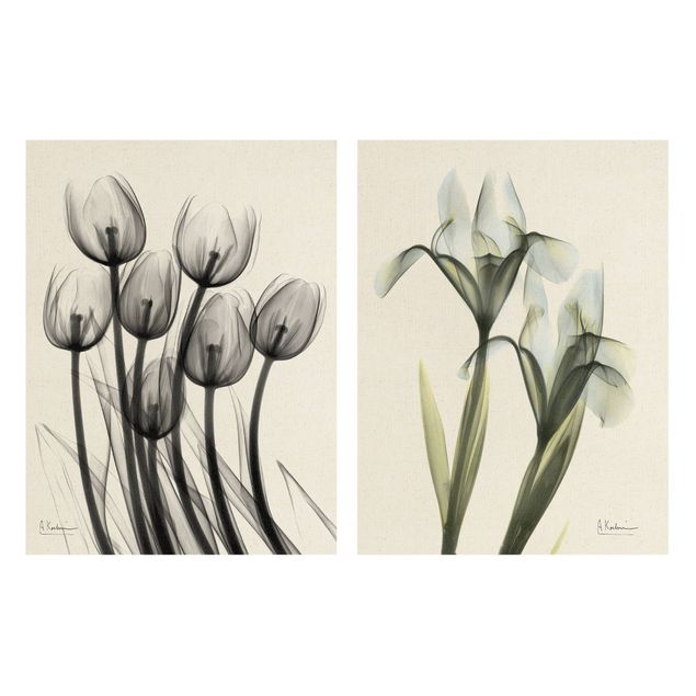 Obrazy na ścianę X-Ray - Tulipany i irysy