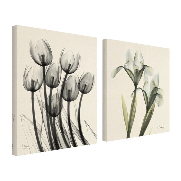 Obrazy drukowane na płótnie X-Ray - Tulipany i irysy