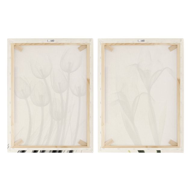 Obraz na płótnie - X-Ray - Tulipany i irysy