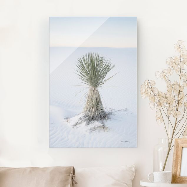 Obrazy na szkle portret Yucca palm in white sand