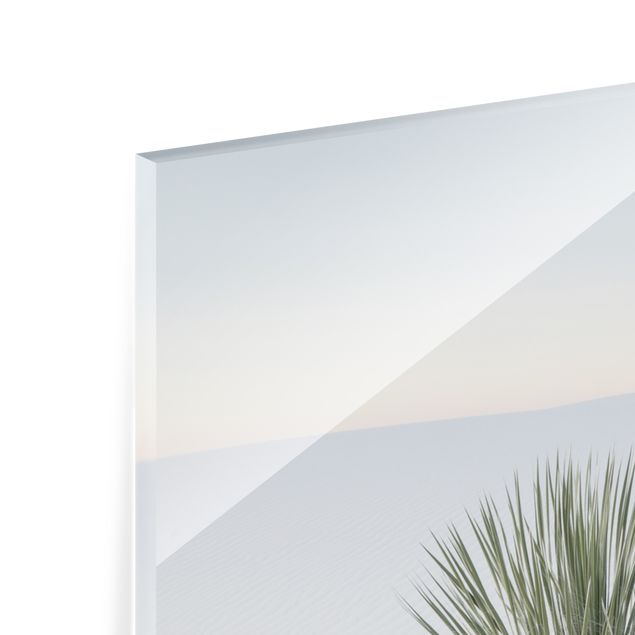 Niebieskie obrazy Yucca palm in white sand