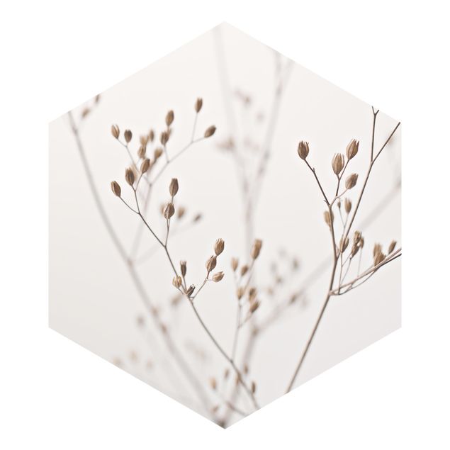 Sześciokątna tapeta samoprzylepna - Czułe pąki na gałązce dzikiego kwiatu