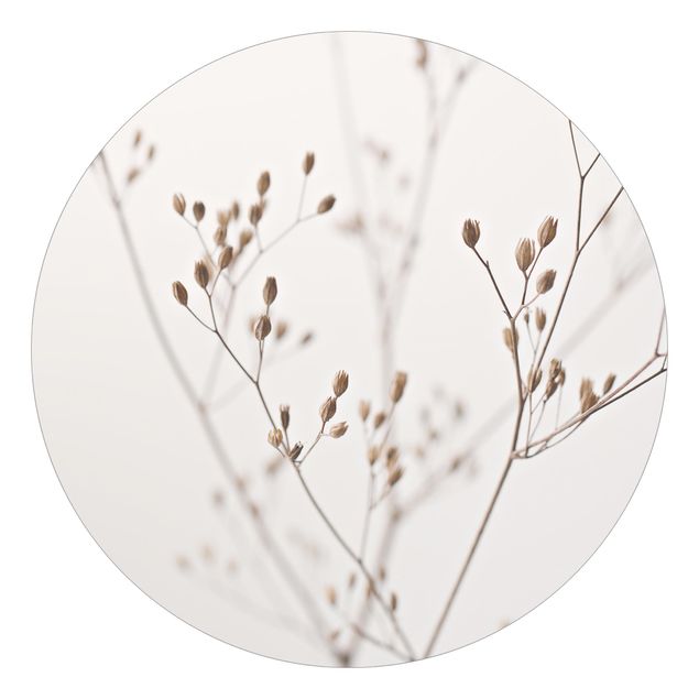 Okrągła tapeta samoprzylepna - Czułe pąki na gałązce dzikiego kwiatu