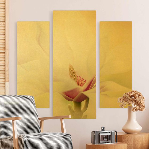 Obrazy do salonu nowoczesne Czuły kwiat magnolii