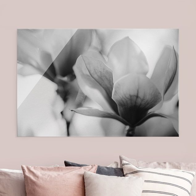 Obrazy na szkle poziomy Czułe kwiaty magnolii II