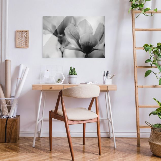 Obrazy do salonu nowoczesne Czułe kwiaty magnolii II