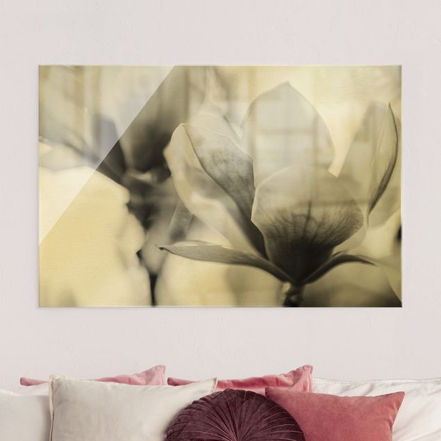 Obraz na szkle - Czułe kwiaty magnolii II