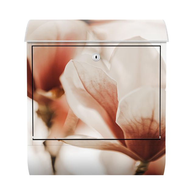 Skrzynka na listy - Delikatne kwiaty magnolii w grze świateł