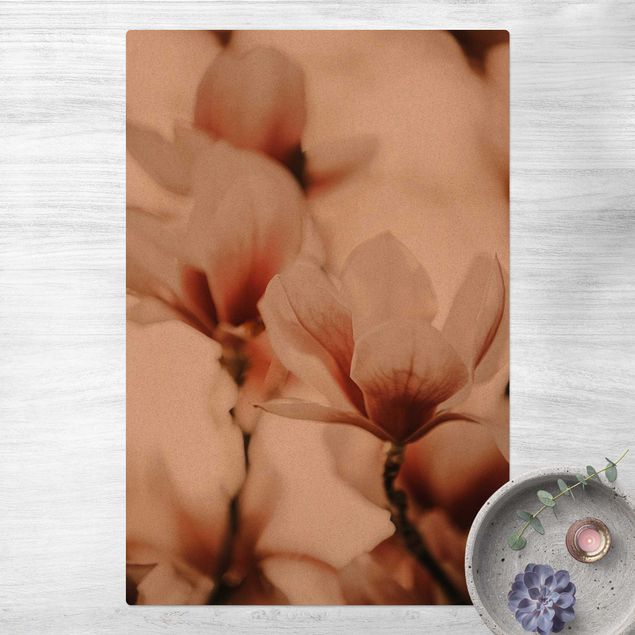 dywany nowoczesne Delikatne kwiaty magnolii w grze świateł