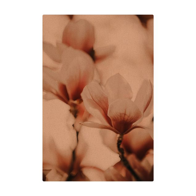 Mata korkowa - Delikatne kwiaty magnolii w grze świateł
