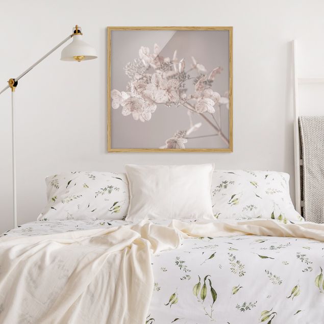 Obrazy motywy kwiatowe Delikatna biała hortensja