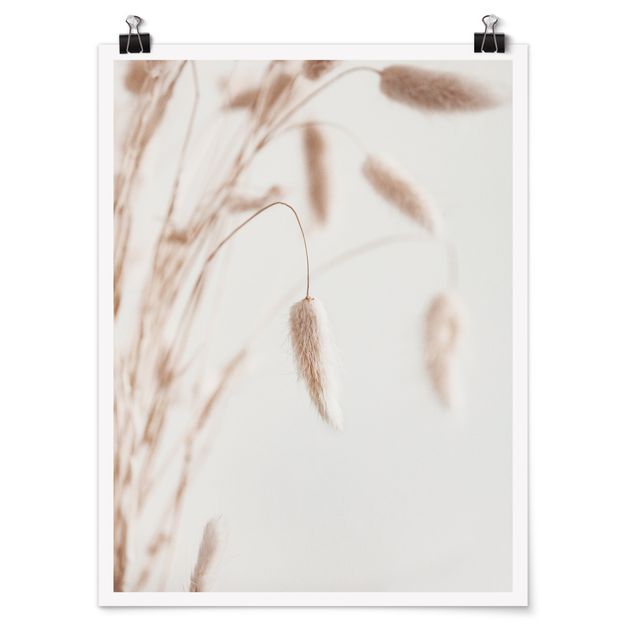 Obrazy z motywem kwiatowym Czarna trawa lśniąca