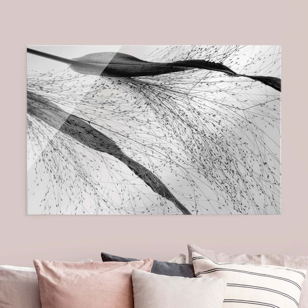 Obrazy na szkle poziomy Trzcina o delikatnych pąkach, czarno-biała