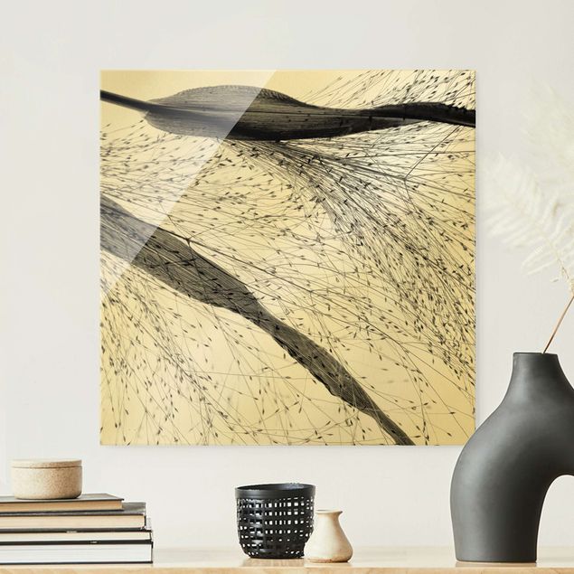 Obrazy na szkle kwadrat Trzcina z delikatnymi pąkami czarno-biały