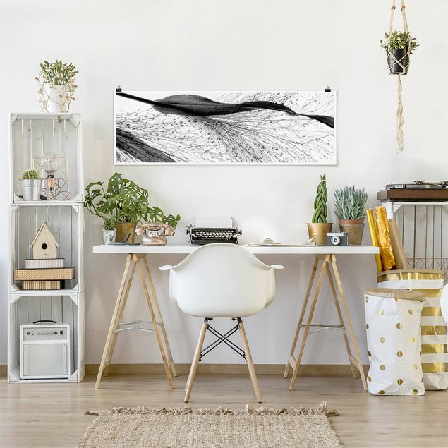 Obrazy nowoczesny Trzcina z delikatnymi pąkami czarno-biały