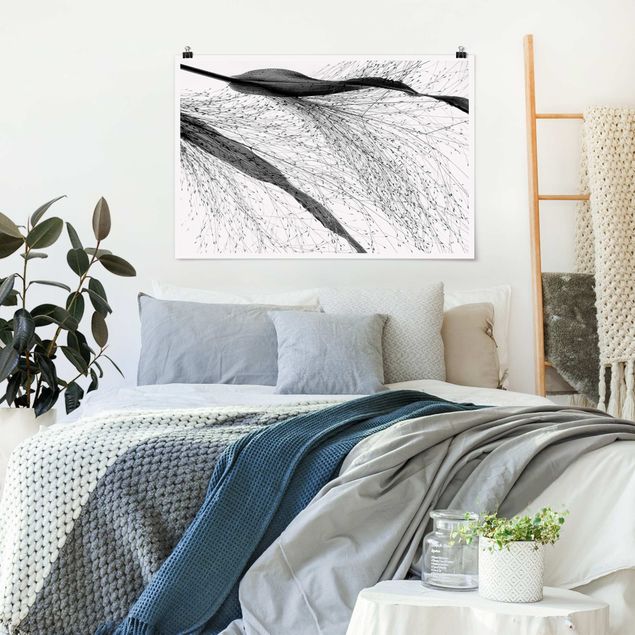 Obrazy nowoczesny Trzcina z delikatnymi pąkami czarno-biały