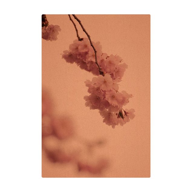 Mata korkowa - Bladoróżowy wiosenny kwiat z bokeh