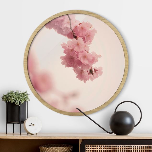 Nowoczesne obrazy do salonu Pale Pink Spring Flower With Bokeh