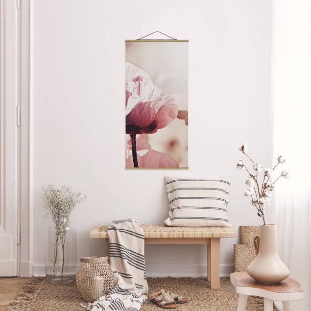 Nowoczesne obrazy do salonu Bladoróżowy kwiat maku z kroplami wody