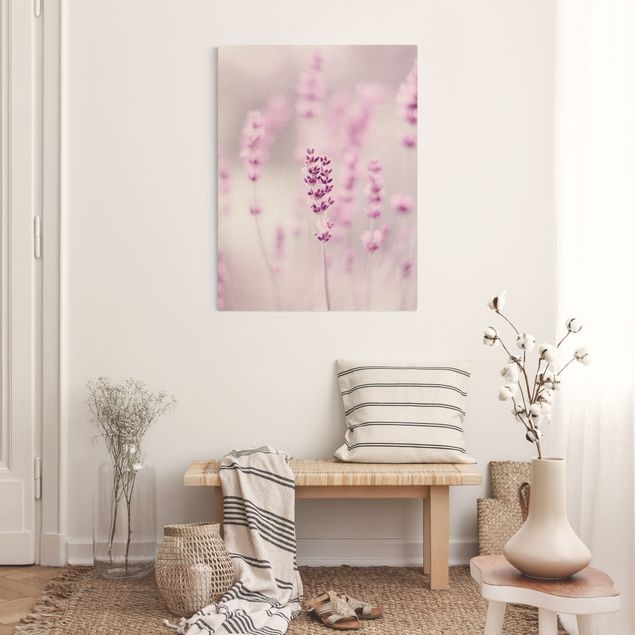 Obrazy z motywem kwiatowym Jasnofioletowa lawenda