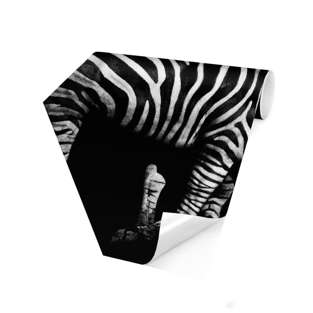 Fototapeta Zebra przed Czarnym